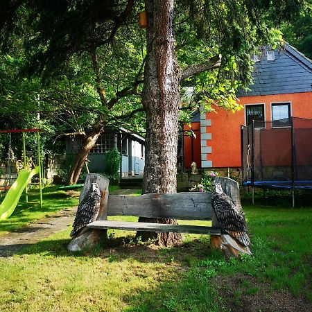 Ferienhaus Franz - An Der Elbe, Mit Grossem Garten Villa Pirna Buitenkant foto