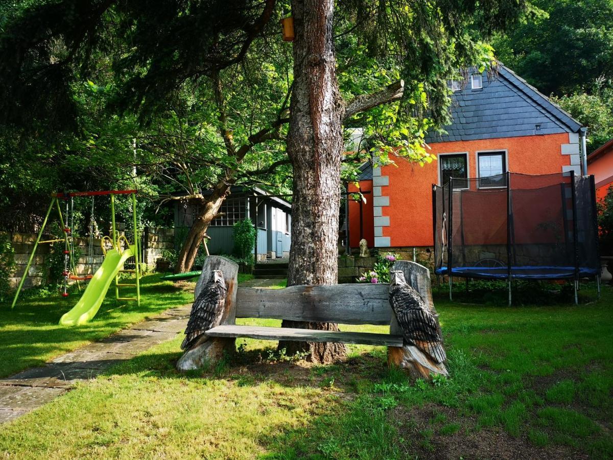 Ferienhaus Franz - An Der Elbe, Mit Grossem Garten Villa Pirna Buitenkant foto