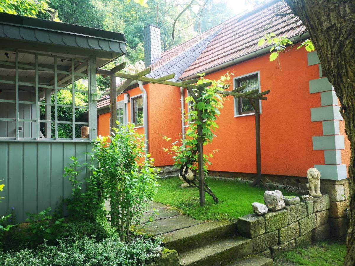 Ferienhaus Franz - An Der Elbe, Mit Grossem Garten Villa Pirna Buitenkant foto